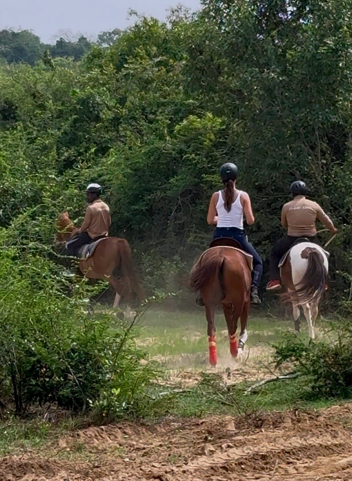 Into the Green Quiet: Jungle Expeditions on Horseback by Vonfidel Ranch