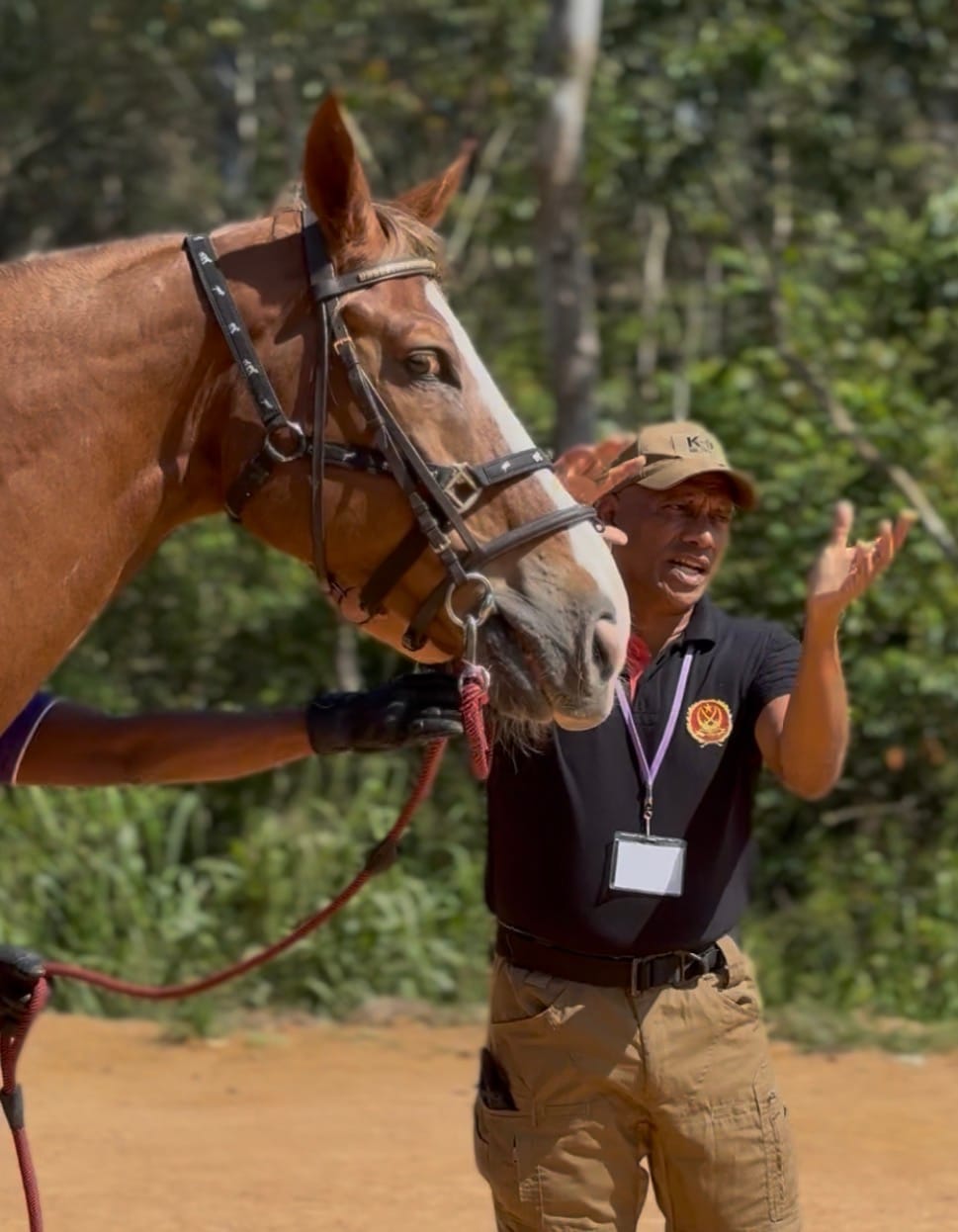 Insights by Cognisive Consultants