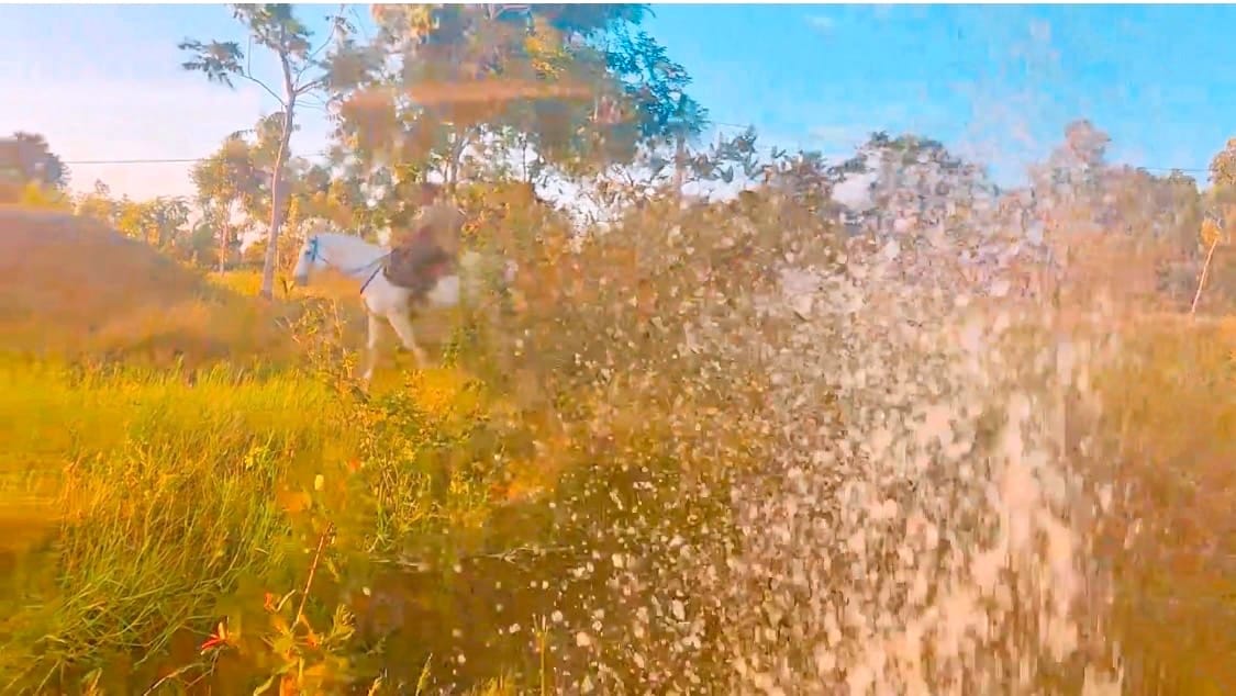 Horses being ridden together at Vonfidel Ranch with water spray in the background, showing herd movement and heat regulation in a tropical equestrian environment.