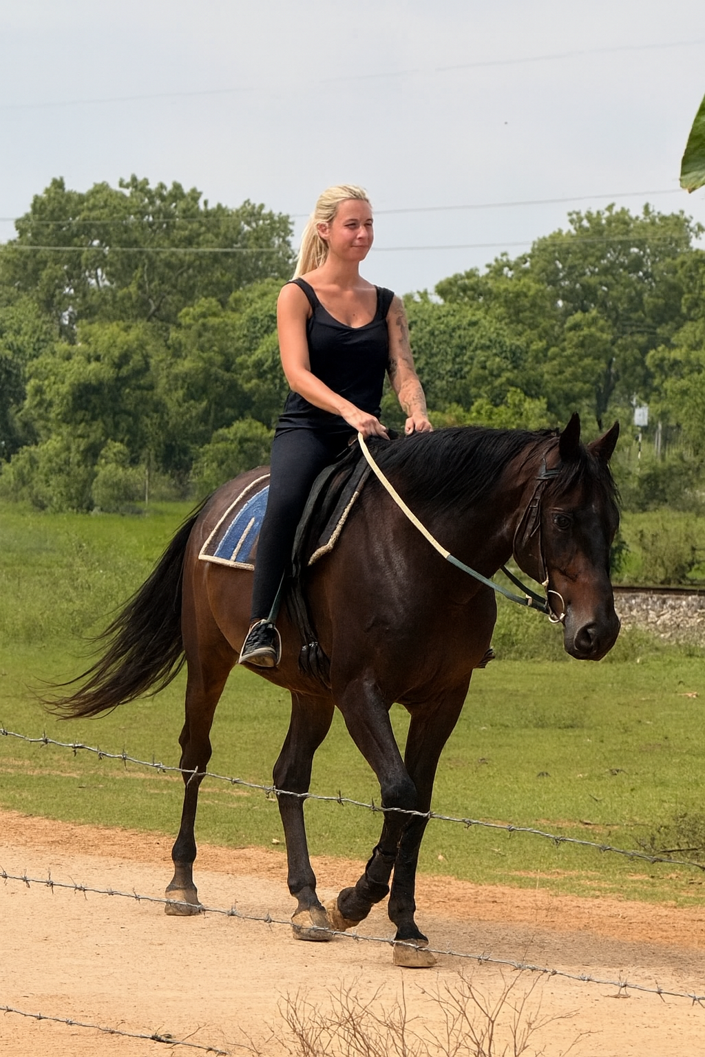 Rider in a calm, balanced partnership with a horse during a low-volume riding session at Vonfidel Ranch in Sri Lanka