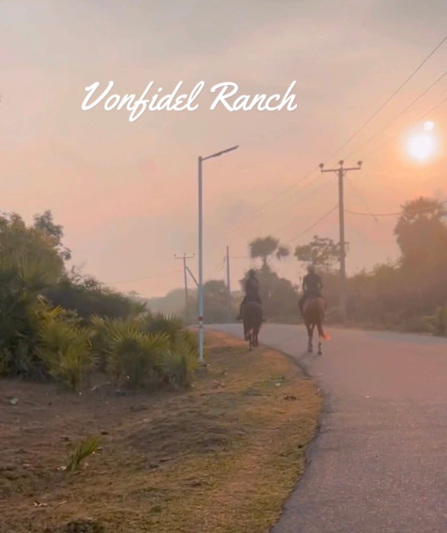 Wranglers riding out at 5:30 a.m. at Vonfidel Ranch as first light settles over the land during the morning work routine.
