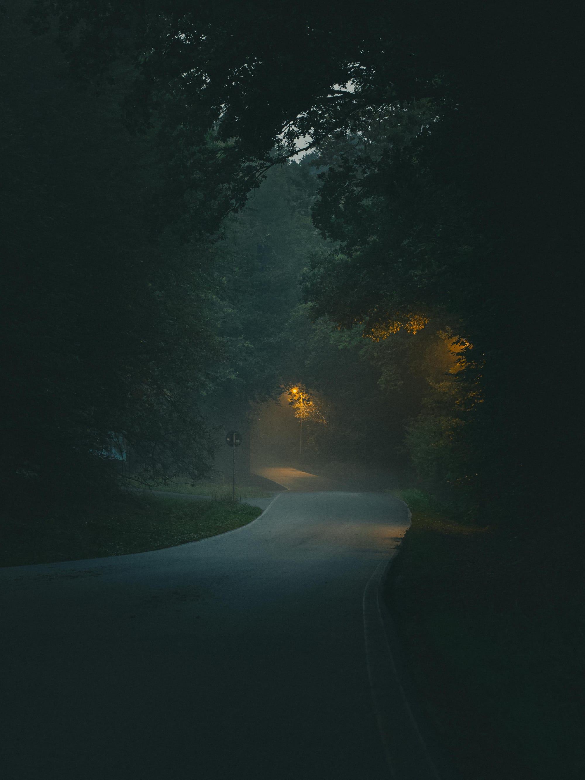 Empty rural road through dense trees in low light, representing controlled movement, minimal presence, and observation within a constrained environment.