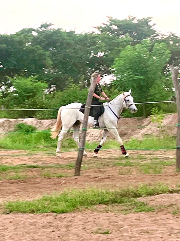 alfie ameer riding horse at vonfidel ranch sri lanka demonstrating trust-based horsemanship and leadership psychology by cognisive consultants and vonfidel group