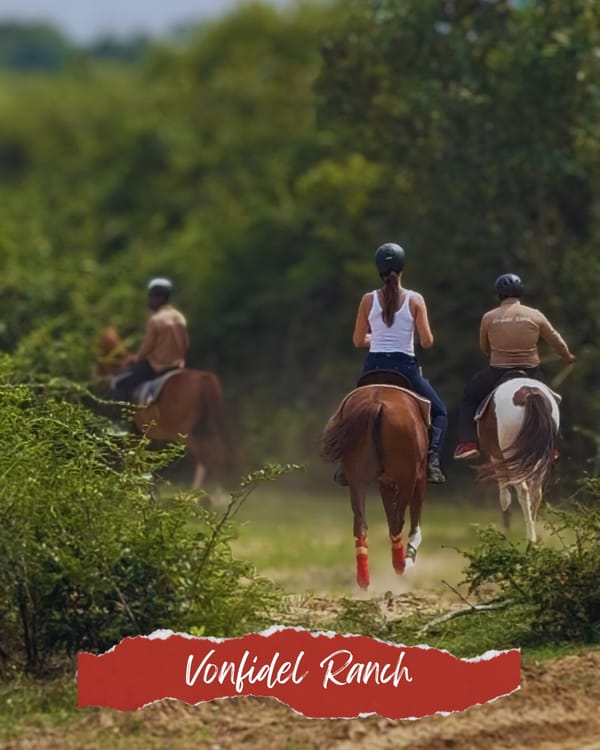 Jungle trail riding experience at Vonfidel Ranch, with a guest on horseback guided by wranglers through Sri Lanka’s lush forests.
