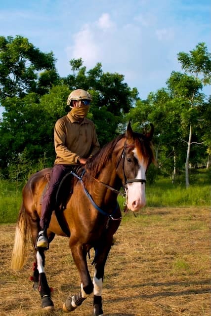 Advanced rider at Vonfidel Ranch mounted with calm balance and quiet posture in a tropical equestrian environment.