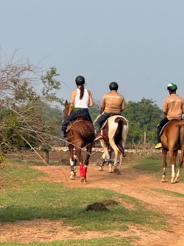 Wranglers and guests riding together during a riding holiday at Vonfidel Ranch. Photo: Vonfidel Ranch